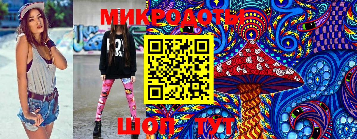 Галлюциногенные грибы прущие грибы Зима