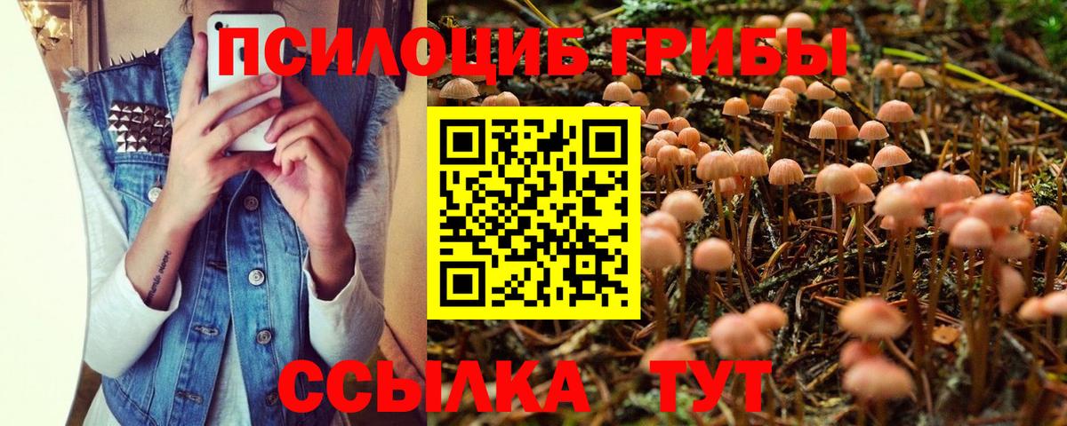 Зима  Псилоцибиновые грибы GOLDEN TEACHER  Вход с VPN 